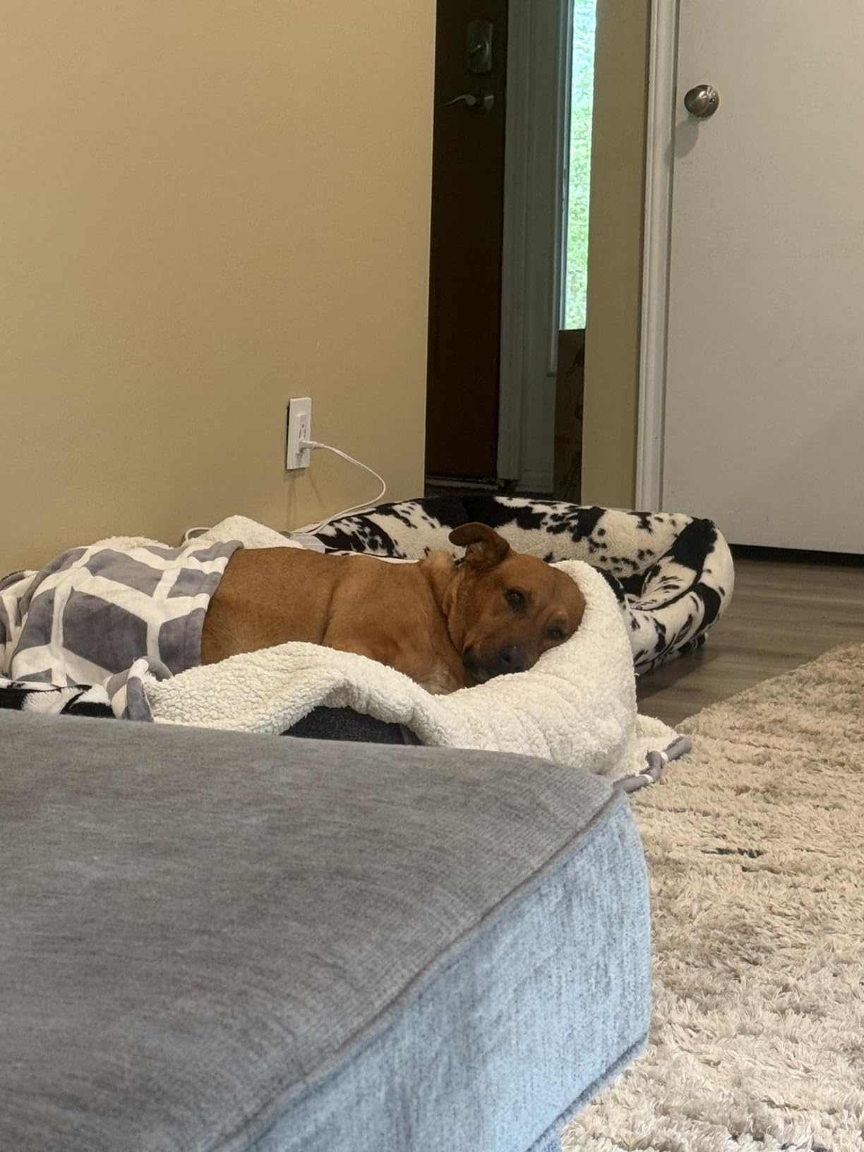 VENTIMI Heated Throw Blanket, 5 Heat Levels & 3 Hours Auto Off, Grey customer photo 2