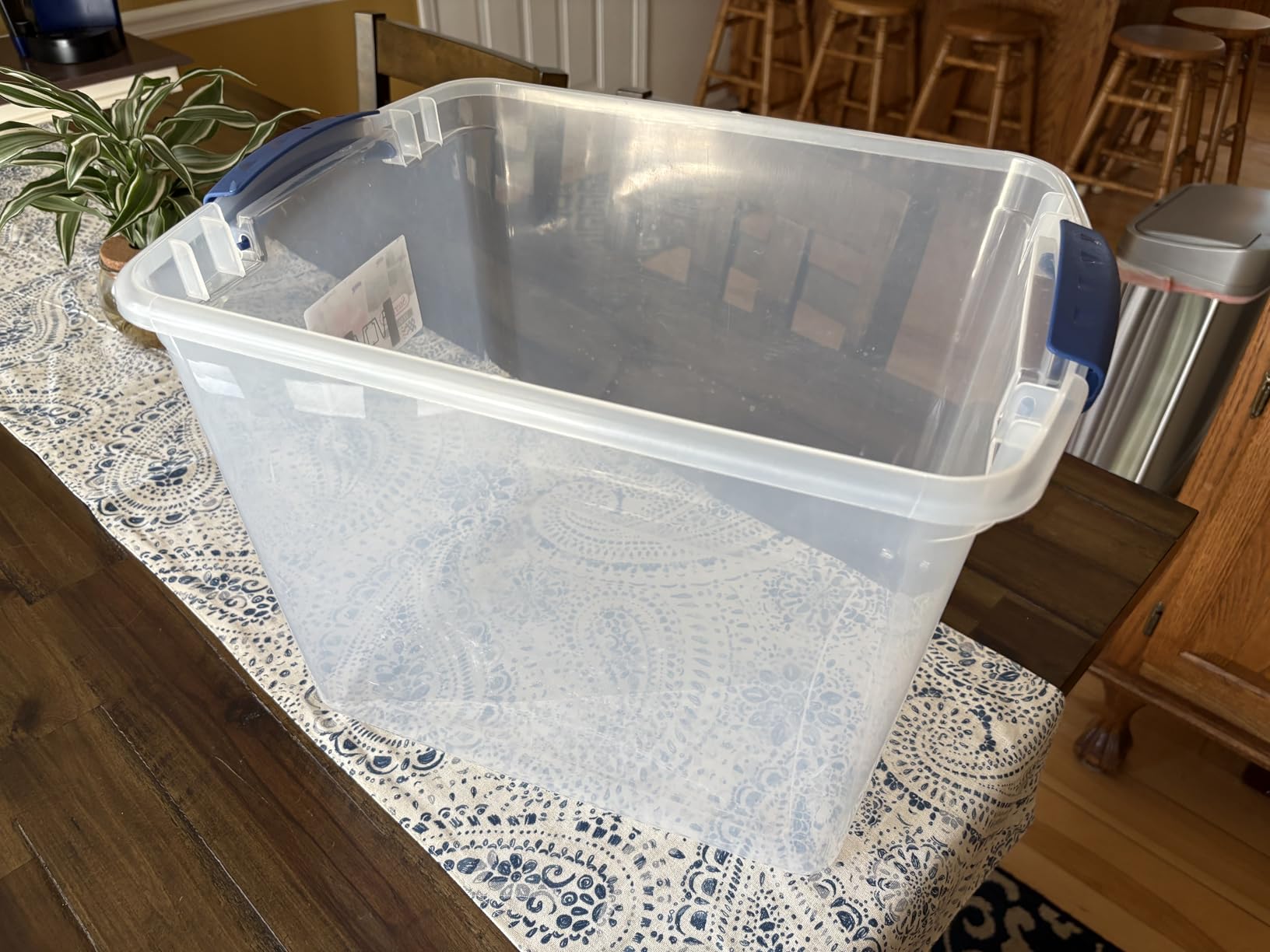 Maelstrom Soft Cooler Bag, 35/55/75 Can Beach Cooler with Flip-top Access customer photo 1