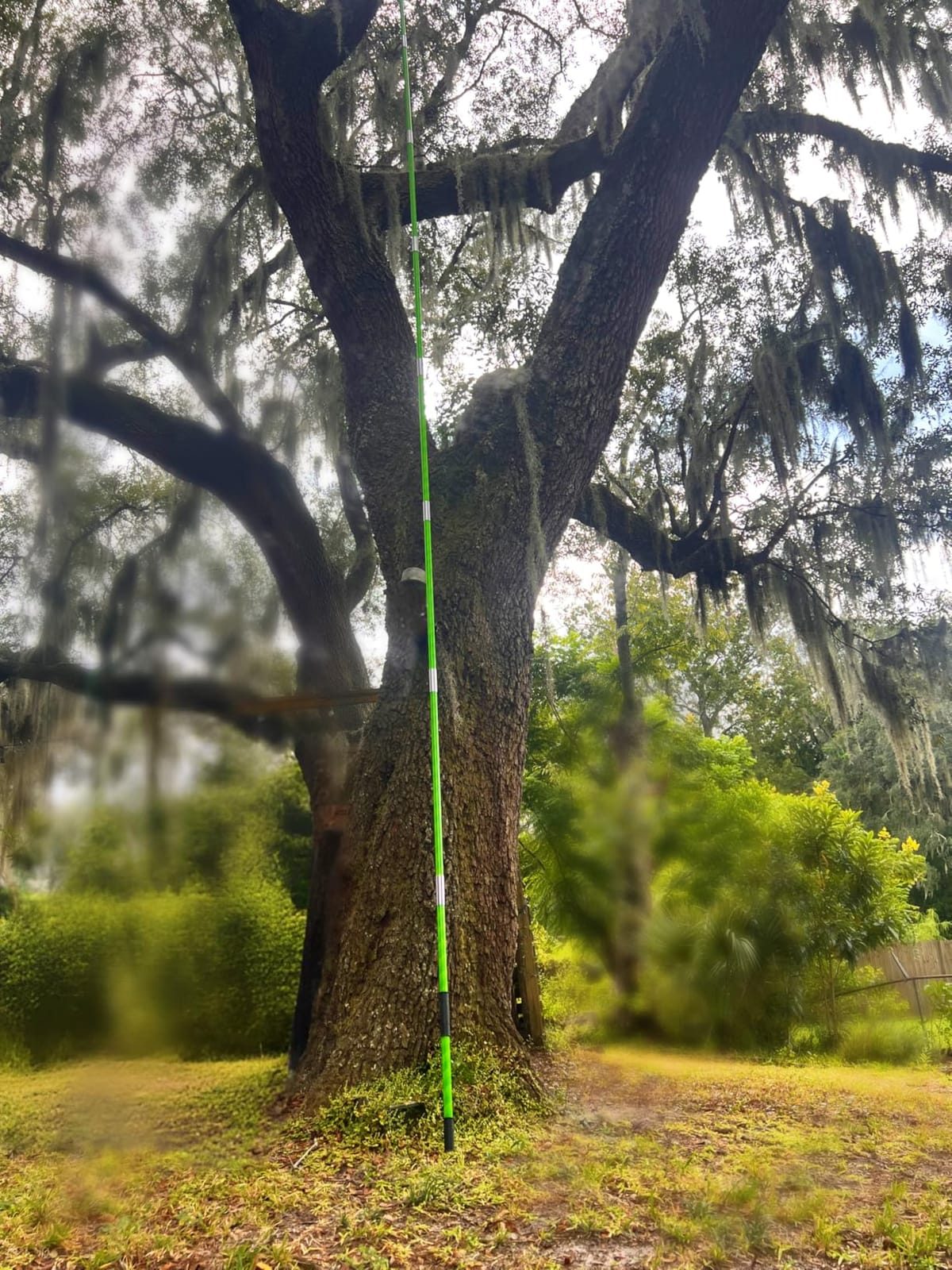 27 Feet Tree Pole Pruner Manual Branches Trimmer Tree Branch Garden Tools Loppers Hand Pole Saws Extendable Height customer photo 1