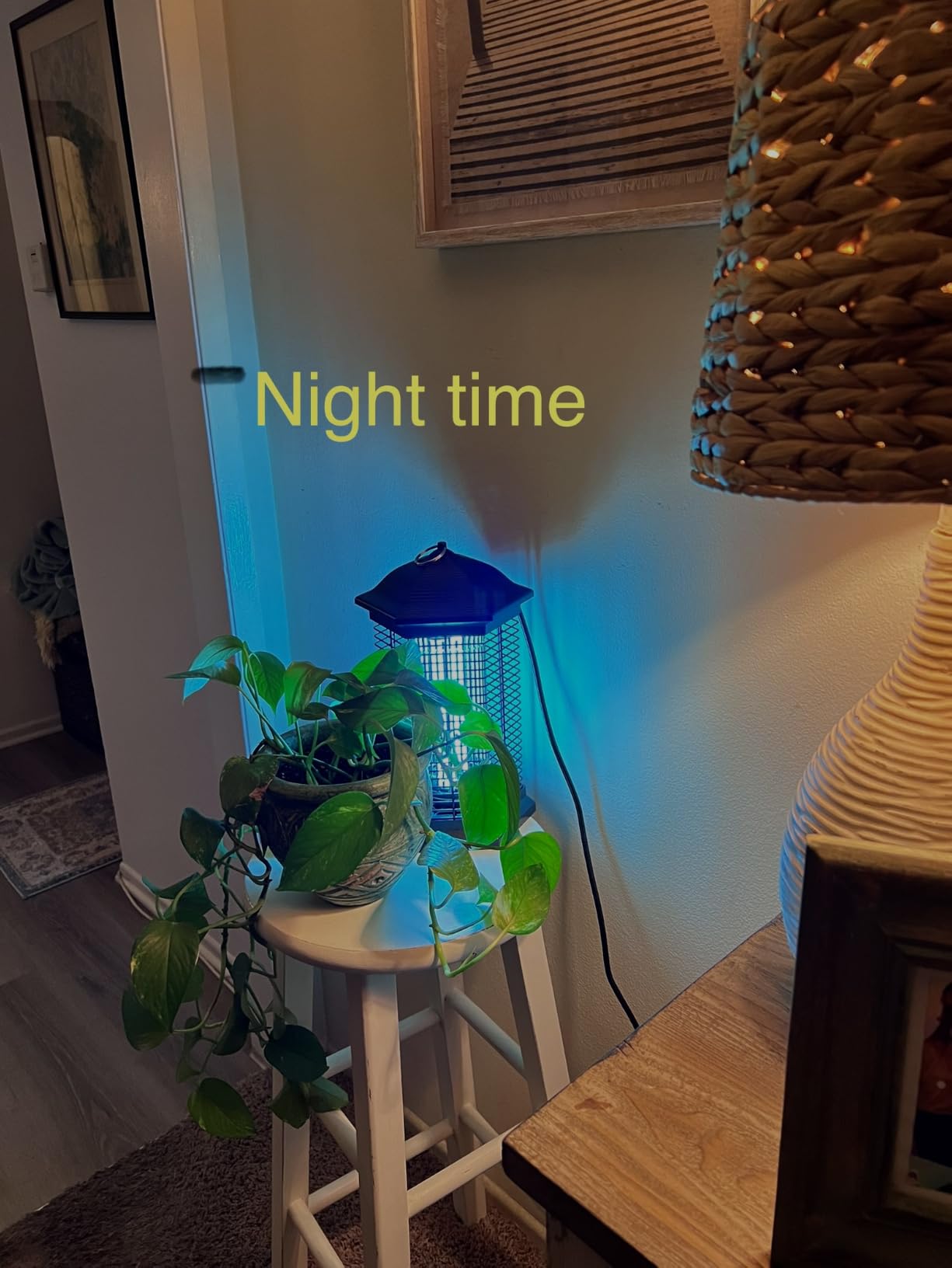 AMUFER Bug Zapper Outdoor Indoor with18W Power & 4400V Instant Grid customer photo 2