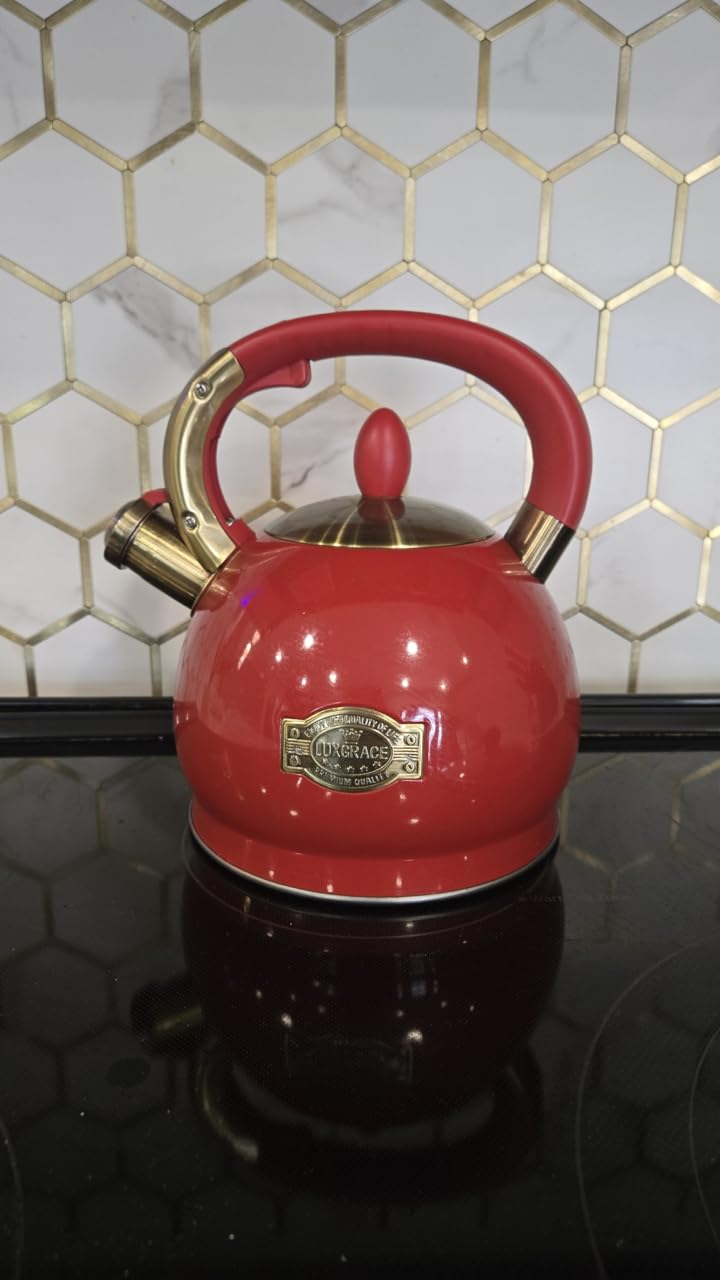 Stainless Steel Whistling Tea Kettle with Metal Capsulated Bottom for Quick Heat Distribution 2.8 Quart customer photo 1