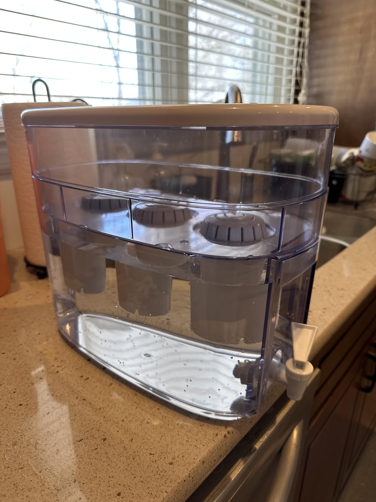 Invigorated Water Alkaline Water Filter Dispenser, 53-Cup Large Capacity customer photo 1