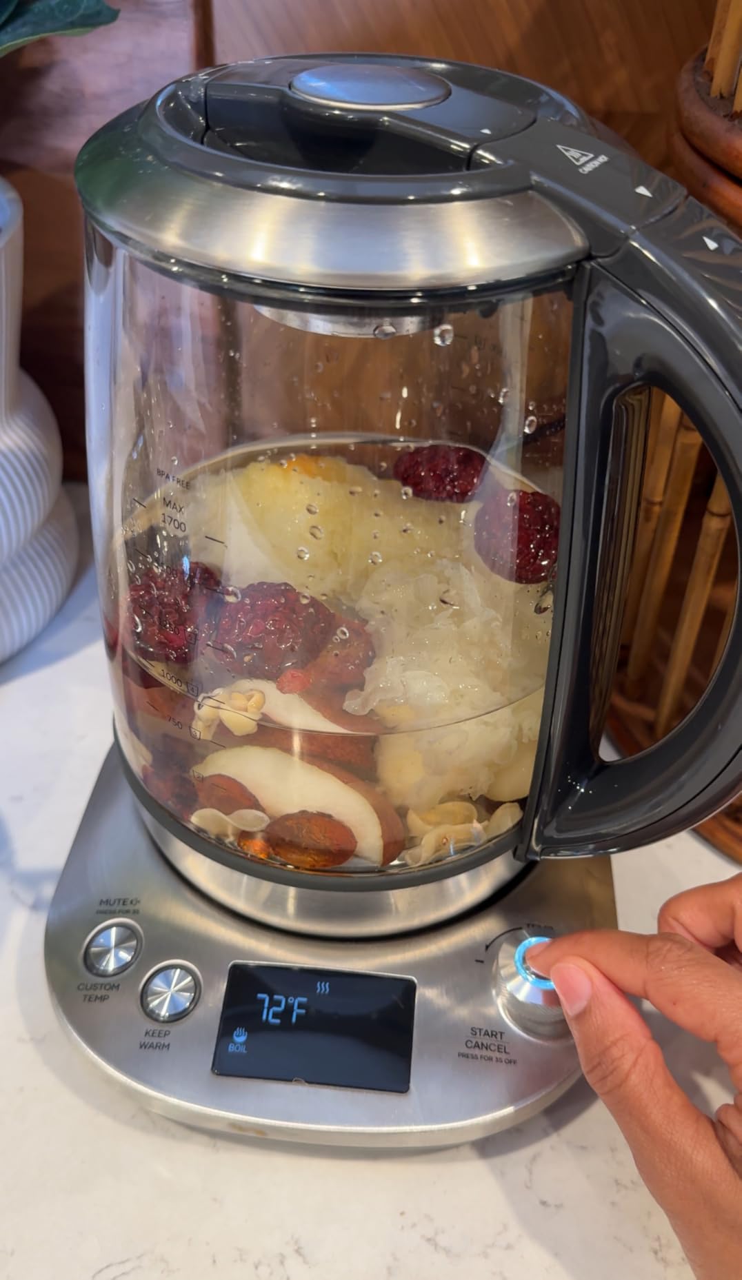 Mecity Electric Tea Kettle with Removable Infuser, 9 Preset Brewing Programs, Temperature Control, 2 Hours Keep Warm, Borosilicate Glass, 1.7 Liter, 1200W customer photo 1