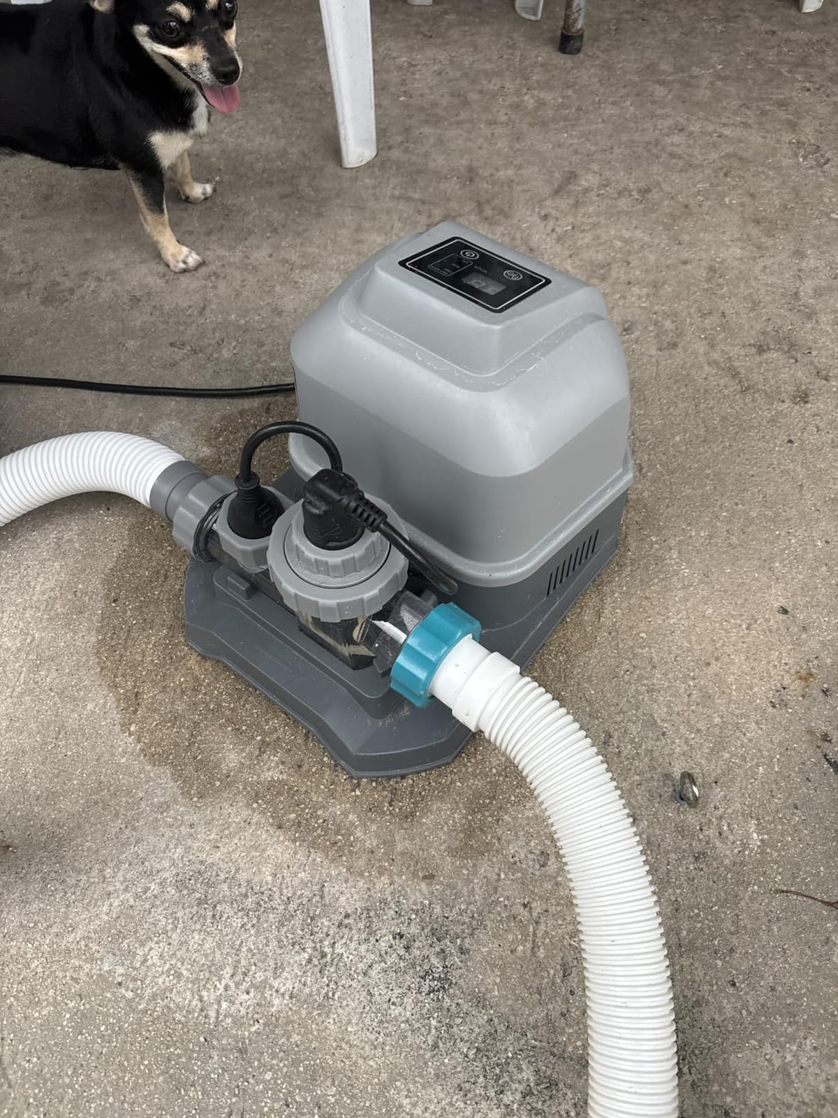 Bestway Flowclear Hydrogenic 6 G/H Digital Self Cleaning Saltwater customer photo 1