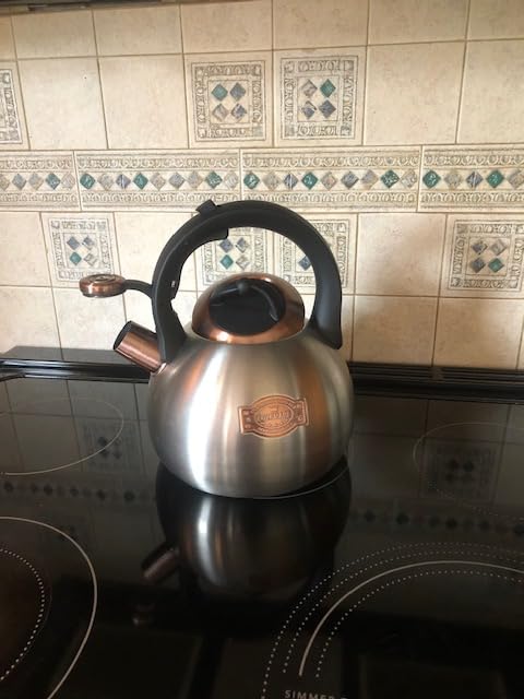 Tea Kettle for Stovetop, Food Grade Stainless Steel Water Kettle, Tea Pot for Home & Kitchen, 3.1 Quart customer photo 2