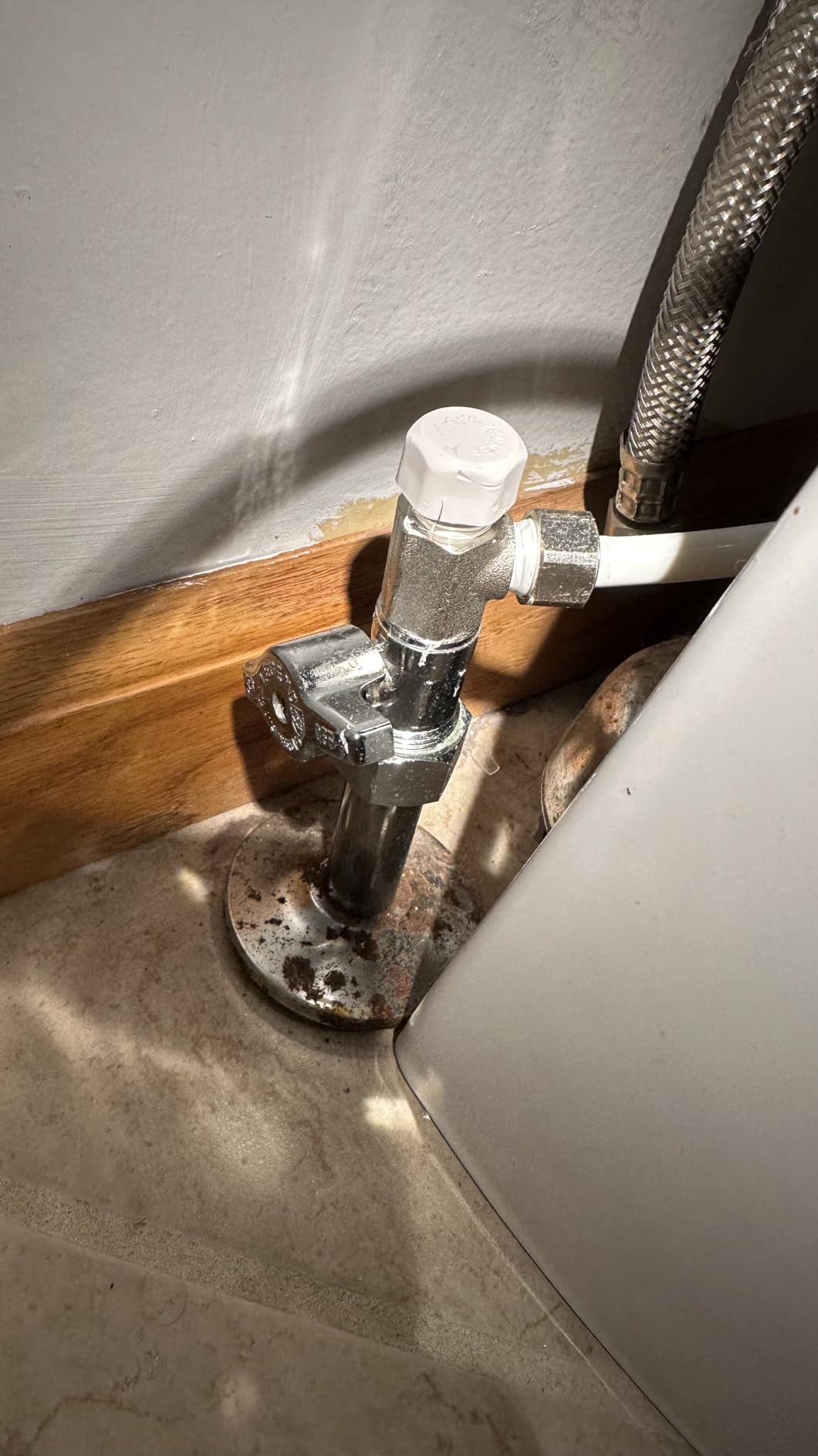 LUXE Bidet NEO 320 PLUS - Warm Water Bidet Attachment for Toilet, Chrome customer photo 2