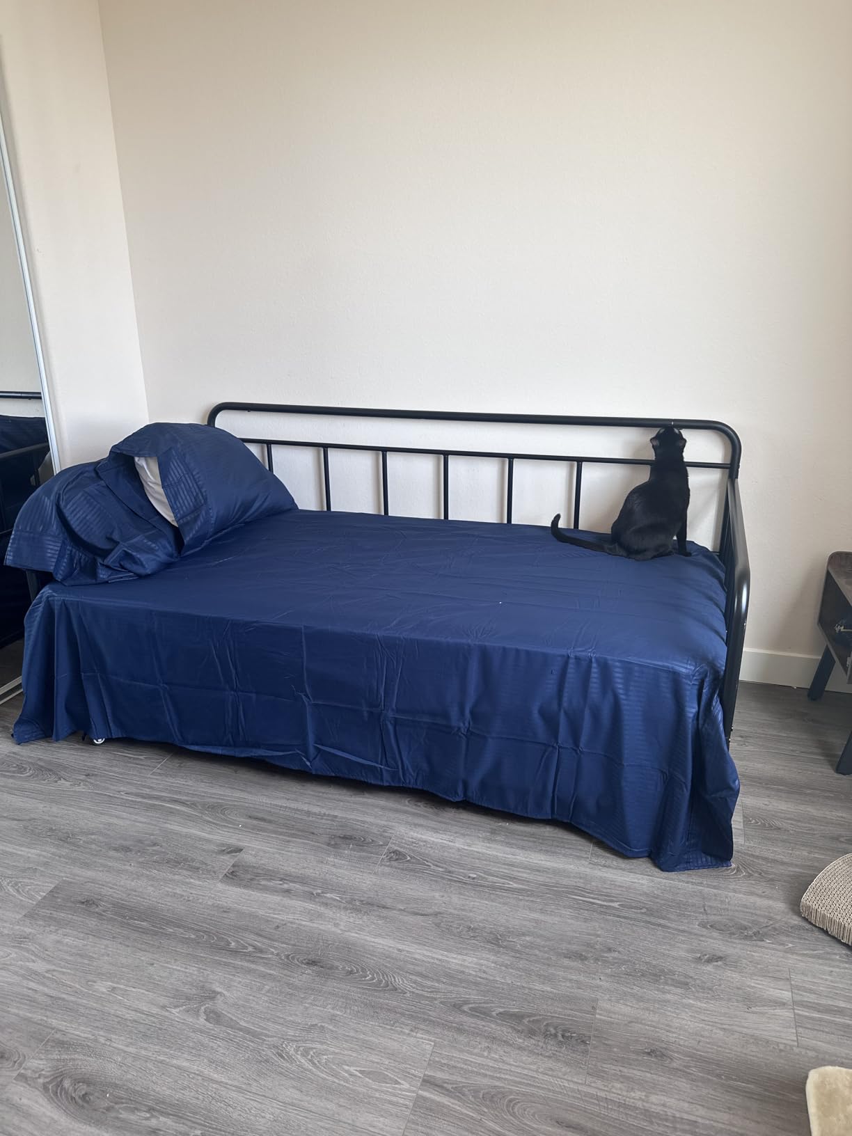 Amazon Basics Full Size Daybed and Twin Size Trundle Bed Frame Set, Space Saving Steel Slat Support, Sturdy Metal Design, Easy Assembly, Black customer photo 2
