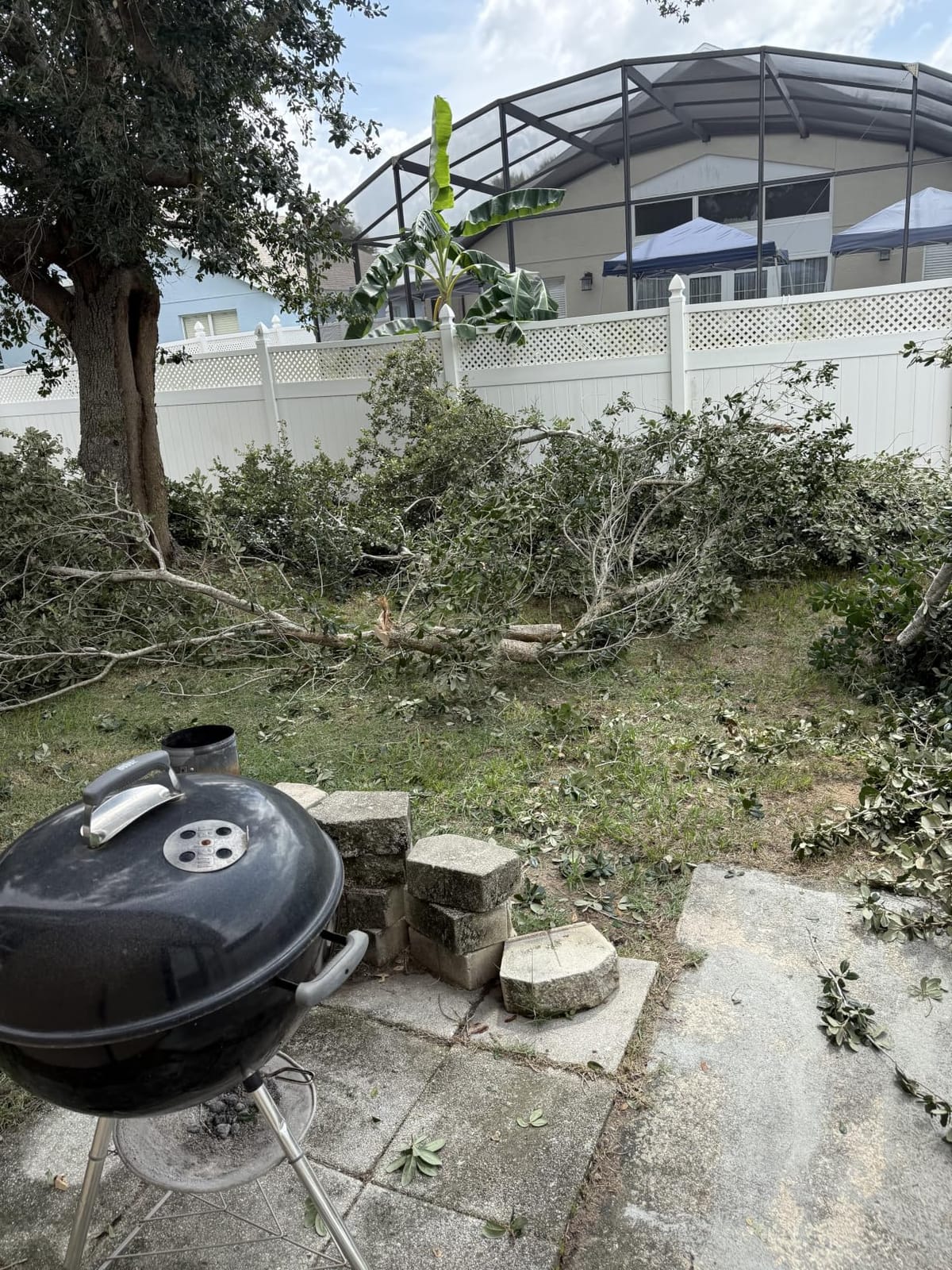 14FT Pole Saw for Tree Trimming 2-in-1 Hand Saw Steel Blade Extension Pole customer photo 1