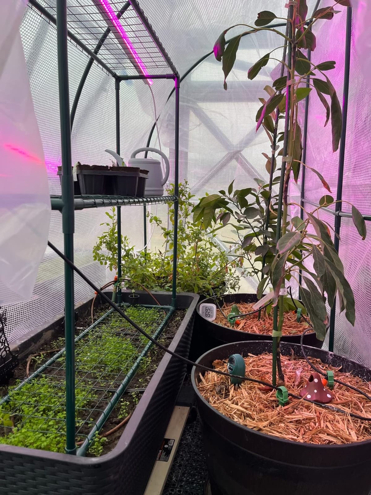 VIVOSUN Mini Lean-to Greenhouse, 6.6’ x 3.3’ x 6.9’ Portable Wall House with White PE Cover and Shelf for Compact Garden 79x39x83-Inch customer photo 1
