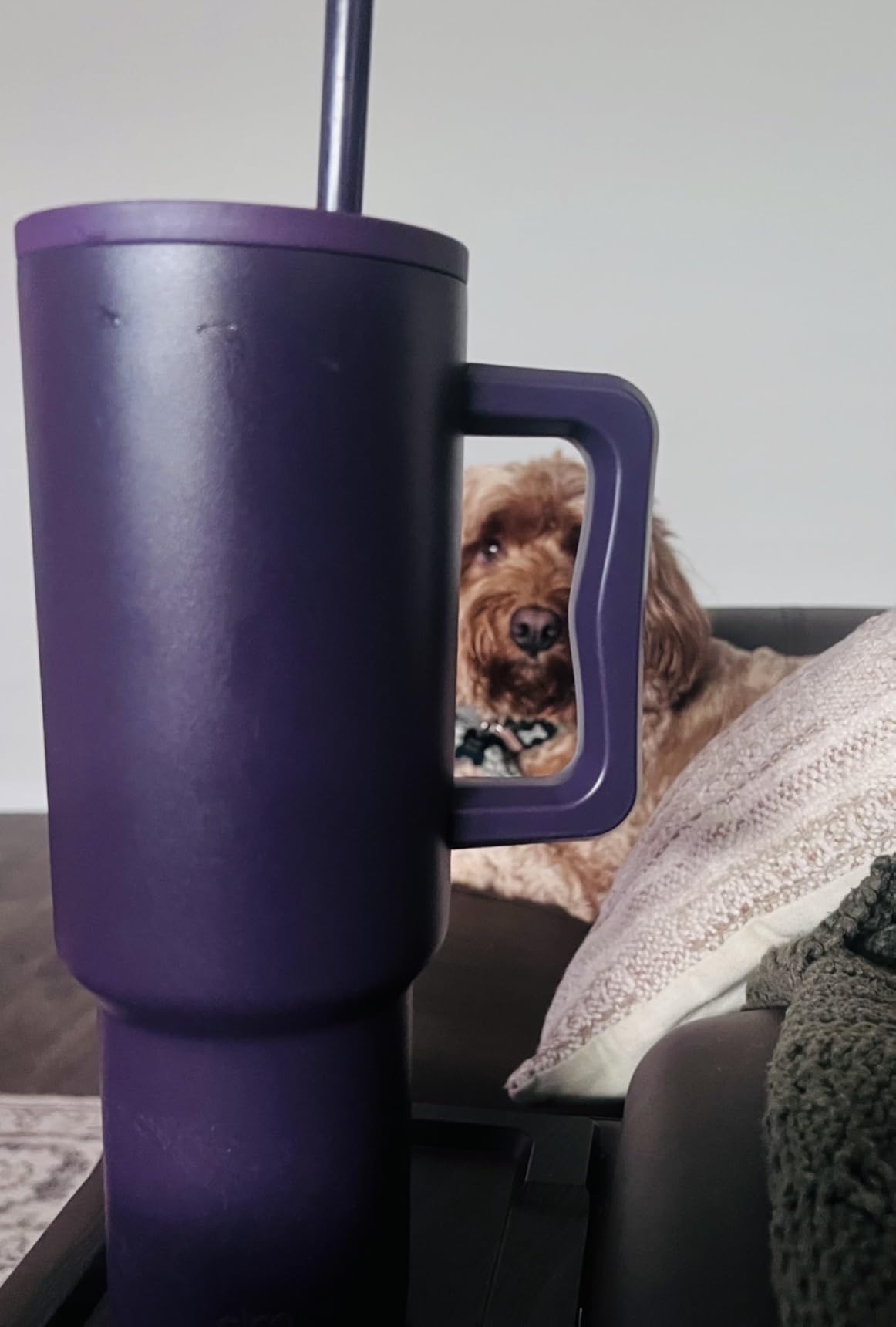 Simple Modern 40 oz Trek Tumbler with Handle and Straw Lid | Cup Holder Friendly Insulated Stainless Steel Travel Mug | Midnight Black customer photo 1