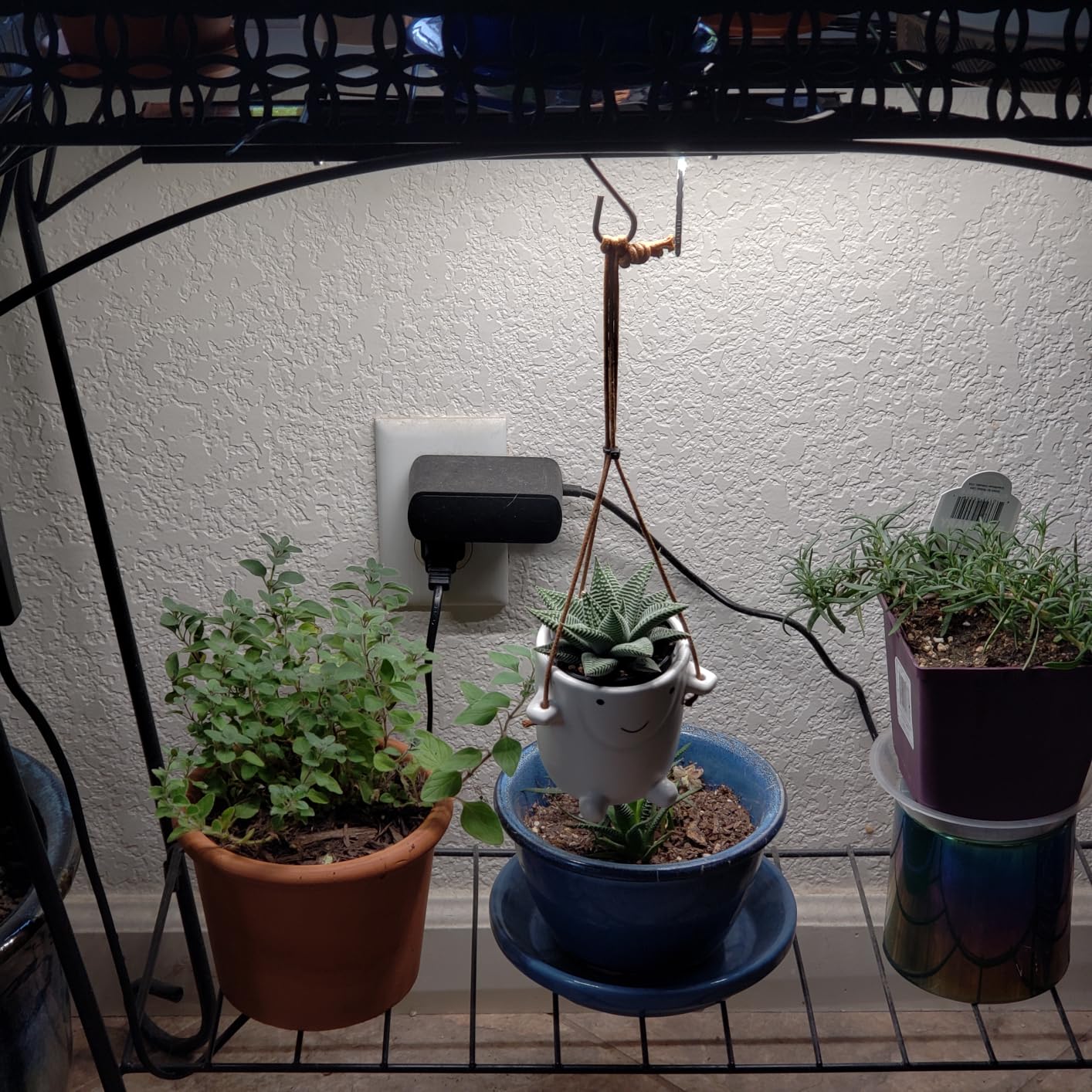 Barrina T5 Grow Lights for Indoor Plants, 5000K Full Spectrum, 1FT, 4 Packs customer photo 1
