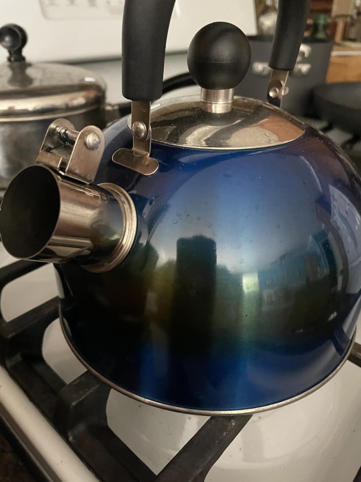 Lily's Home 2 Quart Stainless Steel Whistling Tea Kettle, the Perfect Stovetop Tea and Water Boilers for Your Home, Dorm, Condo or Apartment. (Blue) customer photo 1