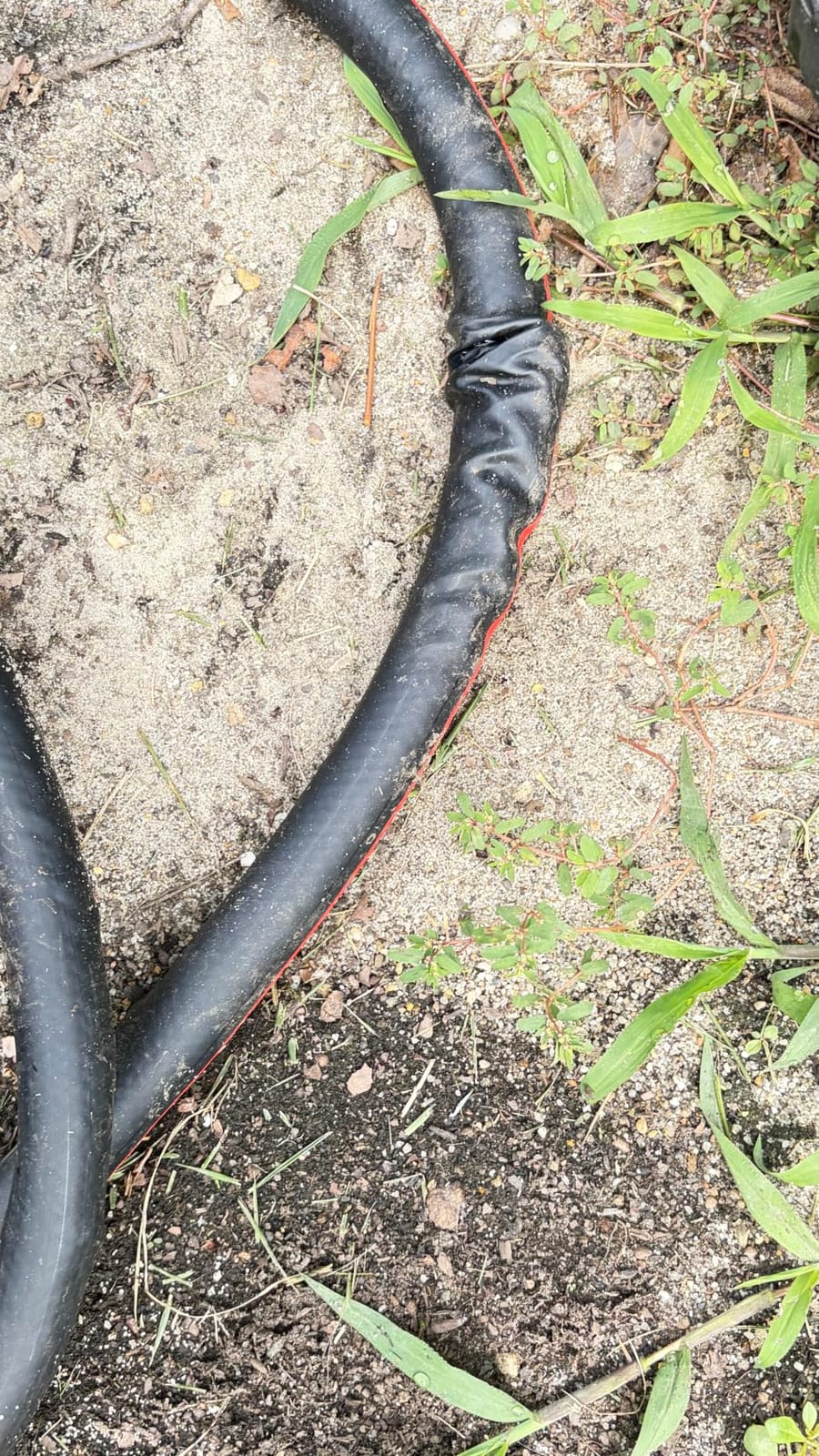 Craftsman Heavy Duty Professional Grade Garden Hose, 50 Feet x 5/8 Inch customer photo 2