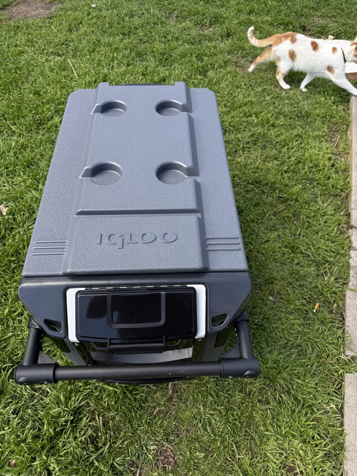 Igloo Trailmate Journey 70Qt Wheeled Cooler | Insulated Hard Shell Ice Chest customer photo 1