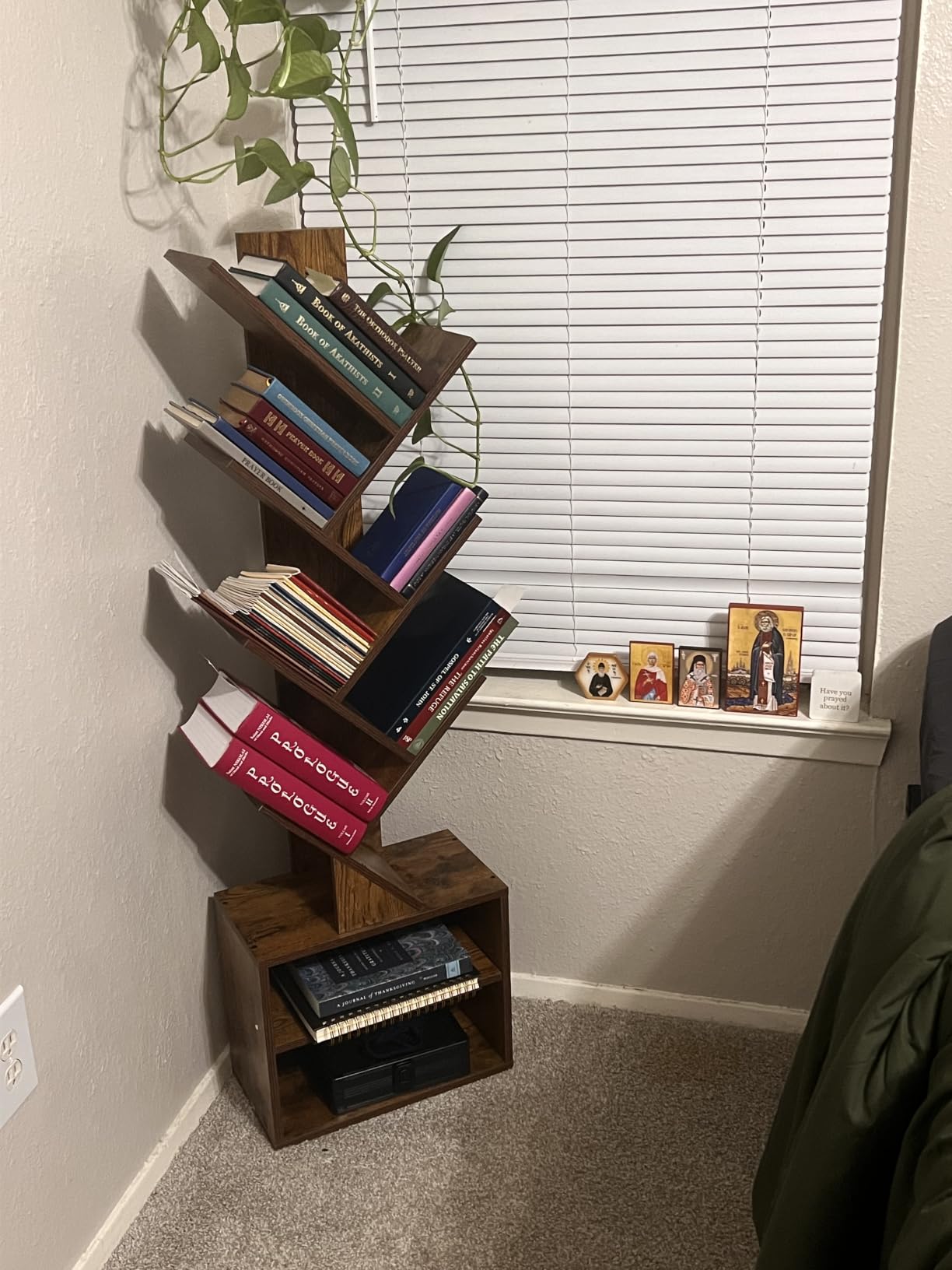 SUNMORY 6 Tier Tree Bookshelf, Tall Small Bookcase with Storage Cabinet customer photo 1