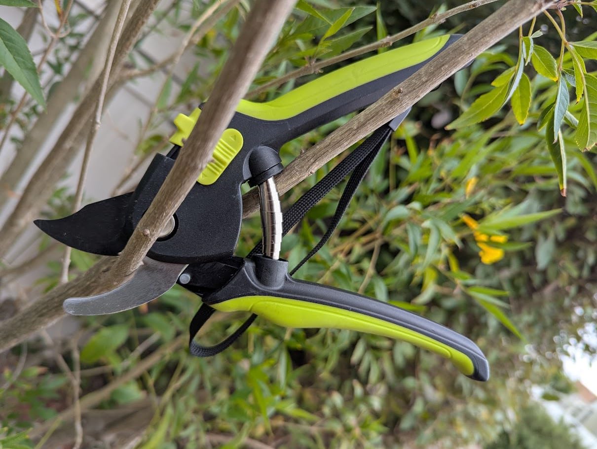 Ultra Sharp Japanese Steel Pruning Shears - Cuts 3X Easier, Weak Hand Arthritis Clippers, Rust-Resistant Titanium Coated Pruner, Effortlessly Cuts 3/4 Inch customer photo 2