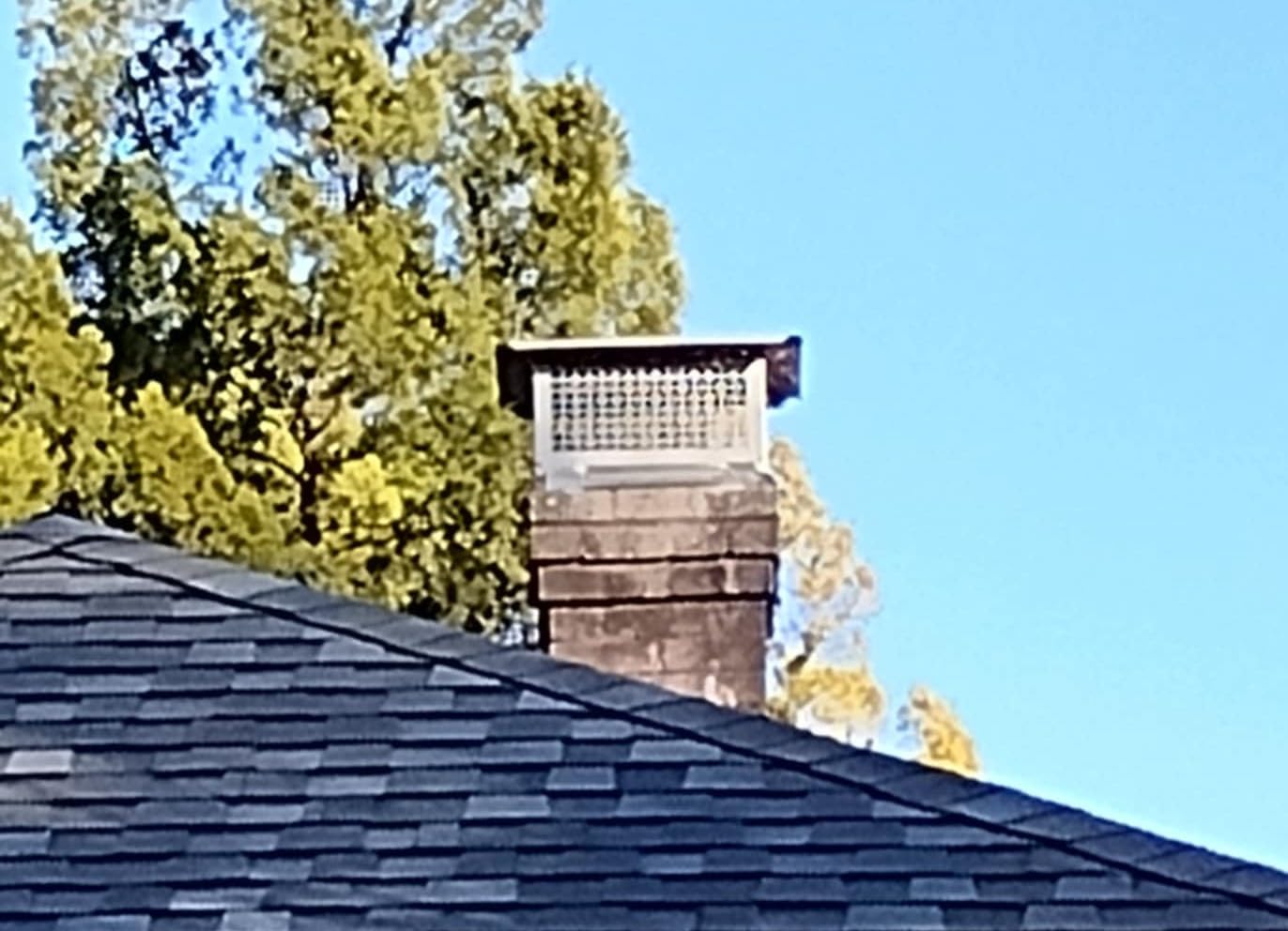 VEVOR 6 inch Chimney Cap - All-Weather Stainless Steel with Reinforced Hardware, Easy Installation Vent Cover for Outdoor Protection customer photo 2
