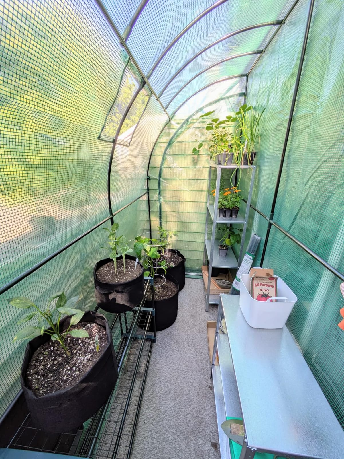 Lean to Greenhouse with 3-Tier Shelves: Ohuhu Portable Walk-in Wall Mounted Green House with Mesh Windows, 79