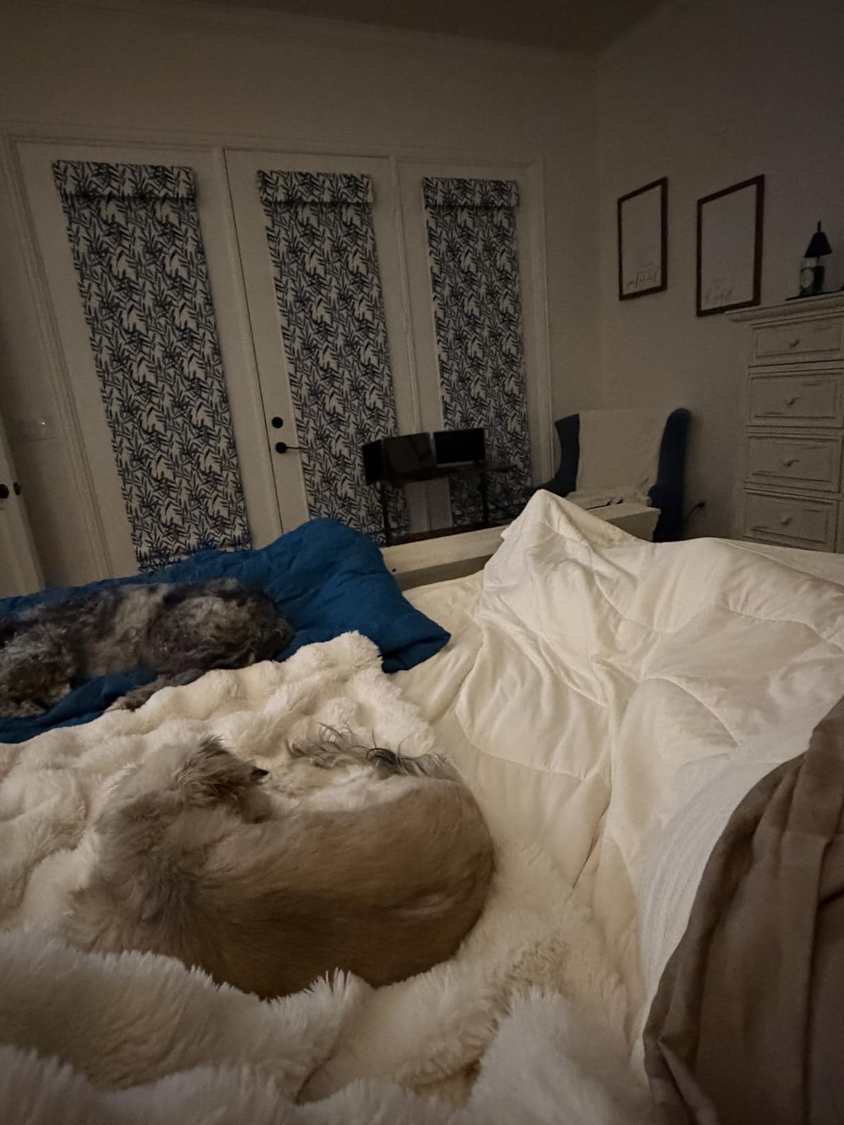 REST® Evercool® Cooling Comforter Blanket for Hot Sleepers, Full/Queen customer photo 2