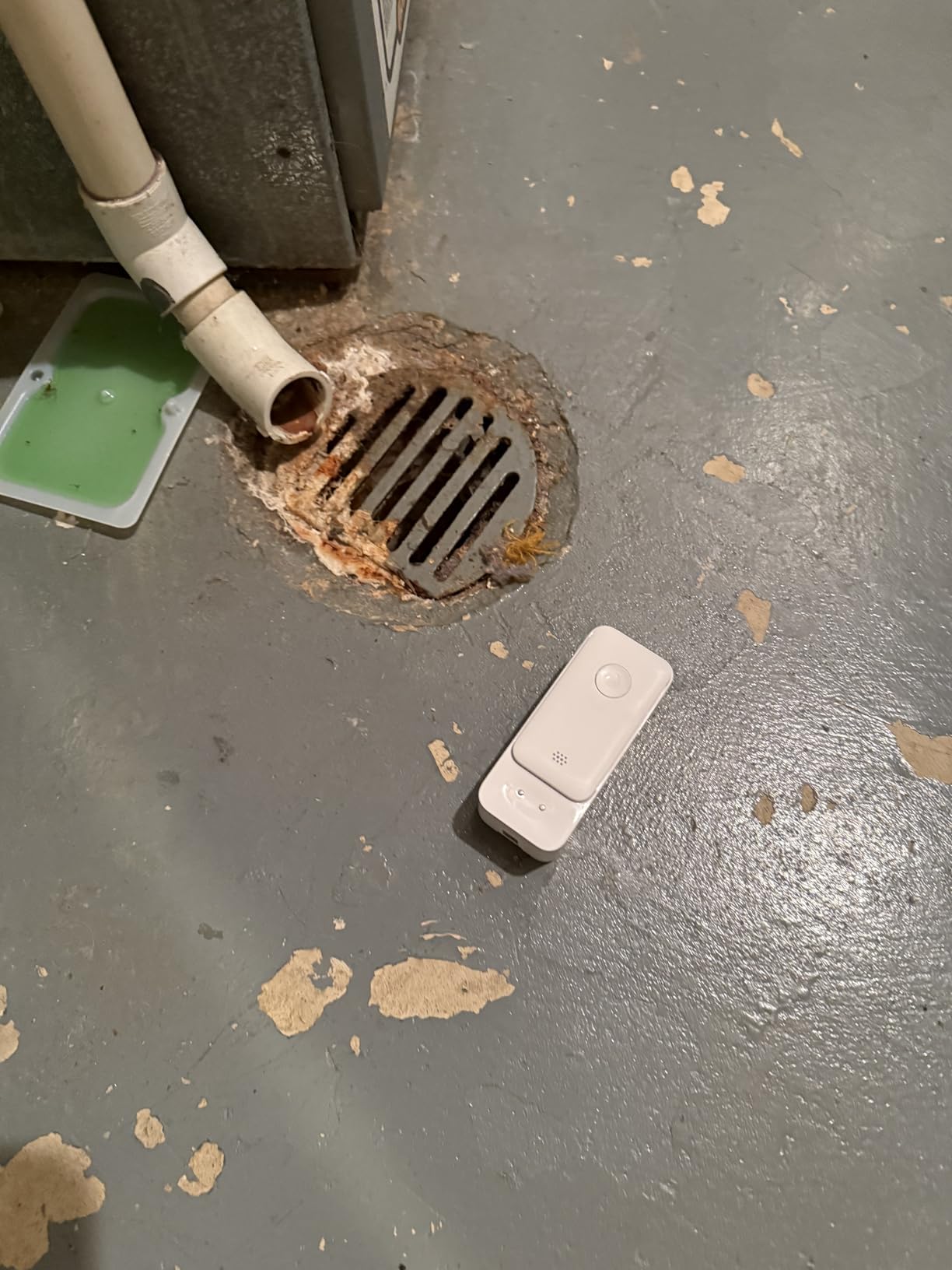 SwitchBot WiFi Water Sensor, Smart Water Leak Detector, 100dB Adjustable Alerts & App Alerts, IP67 Waterproof, Wireless Detector for Kitchen, Bathroom, Basement, No Hub Required (Support 2.4G) customer photo 2