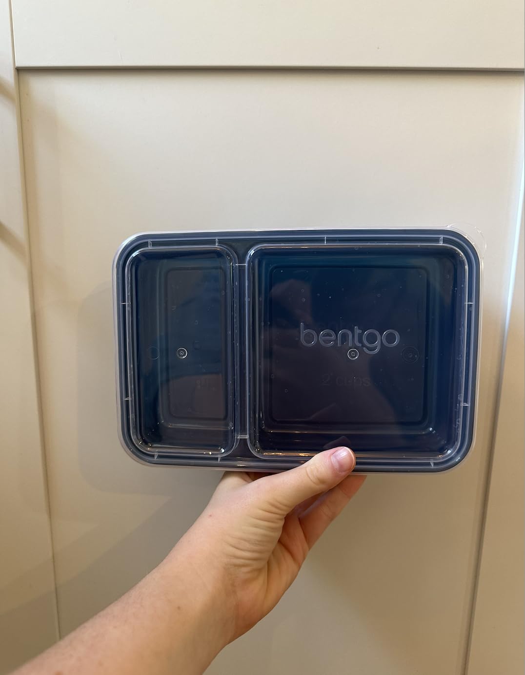 Bentgo Prep 2-Compartment Meal Prep Containers with Lids, 20 Piece Set customer photo 2
