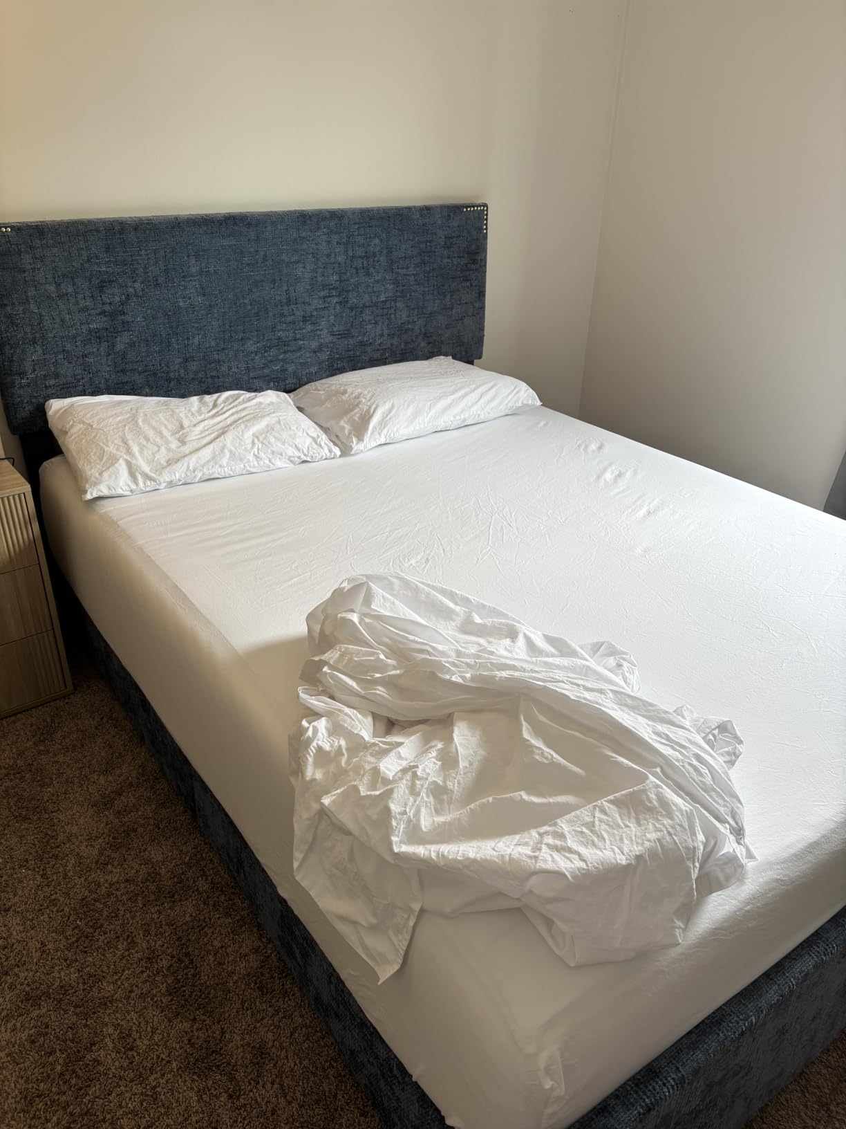 ZOYER 100% Cotton Queen Sheets, Percale Weave, Fairy Meadows customer photo 1