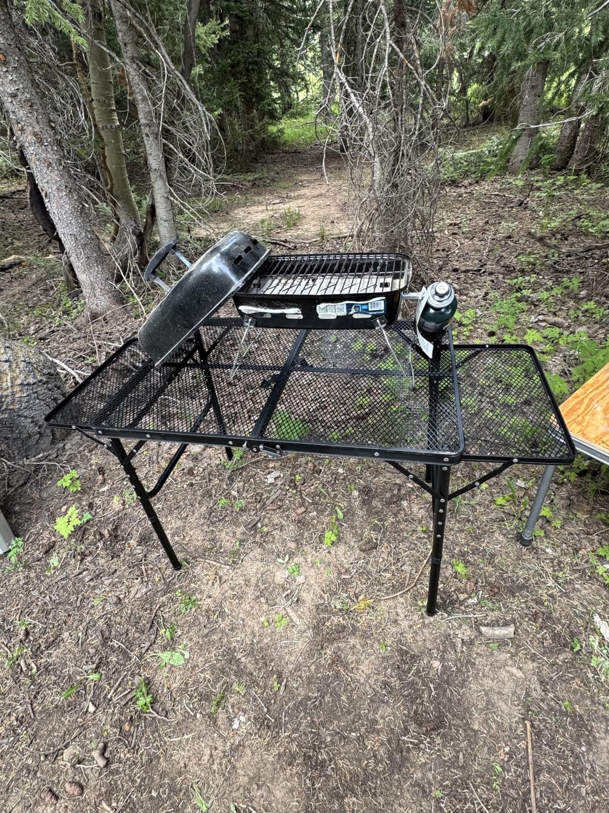 Folding Table w/ Carry Bag, Paper Towel Holder, Garbage Holder, Wing Panels, 3x2 FT Foldable Table for Portable Grill, Picnic, Outdoor, Beach, Small Folding Table Adjustable Height,Camping Table, BBQ customer photo 1
