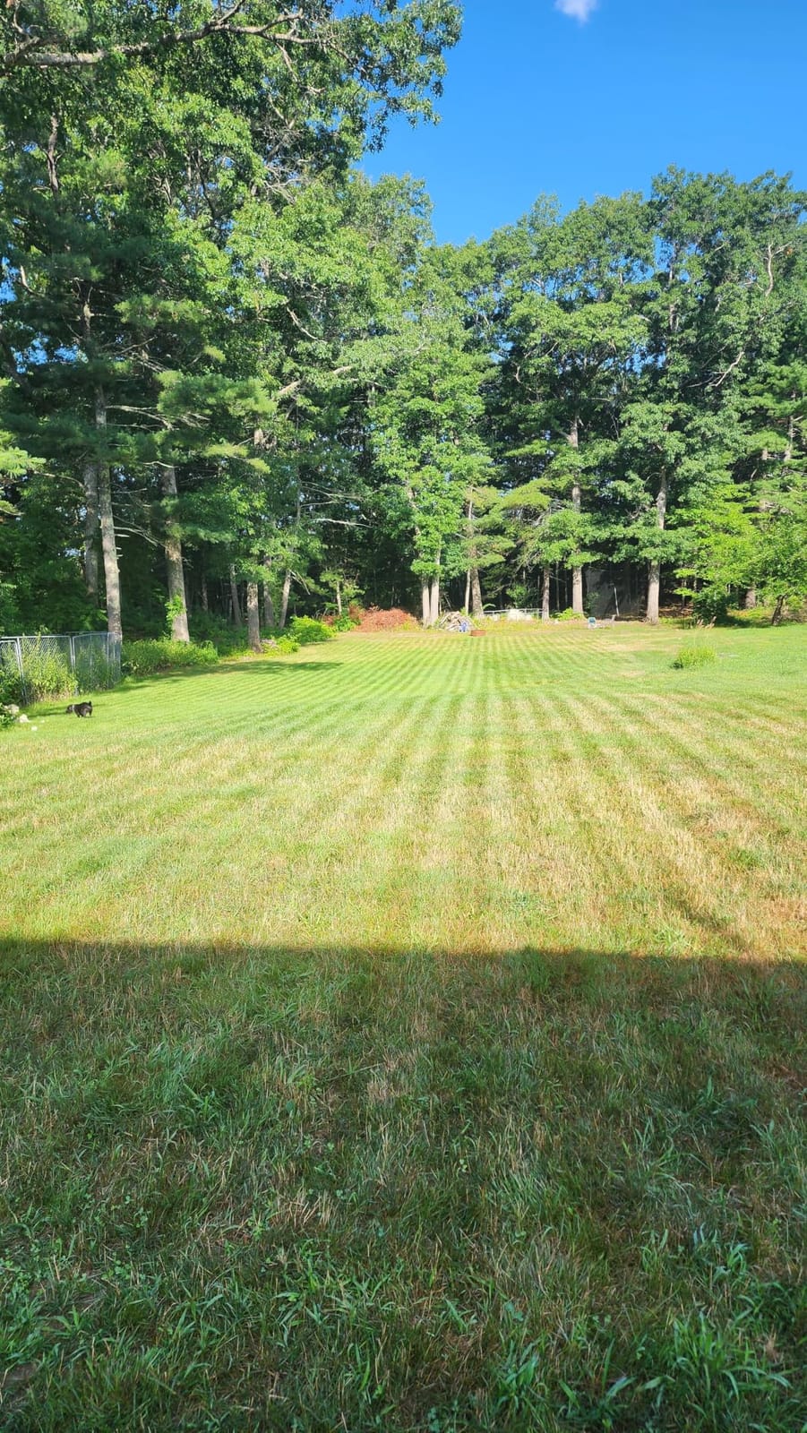 Husqvarna 410iQ ½ Acre Wire-Free, 45% Slope, app Based, Robot Lawn Mower customer photo 1