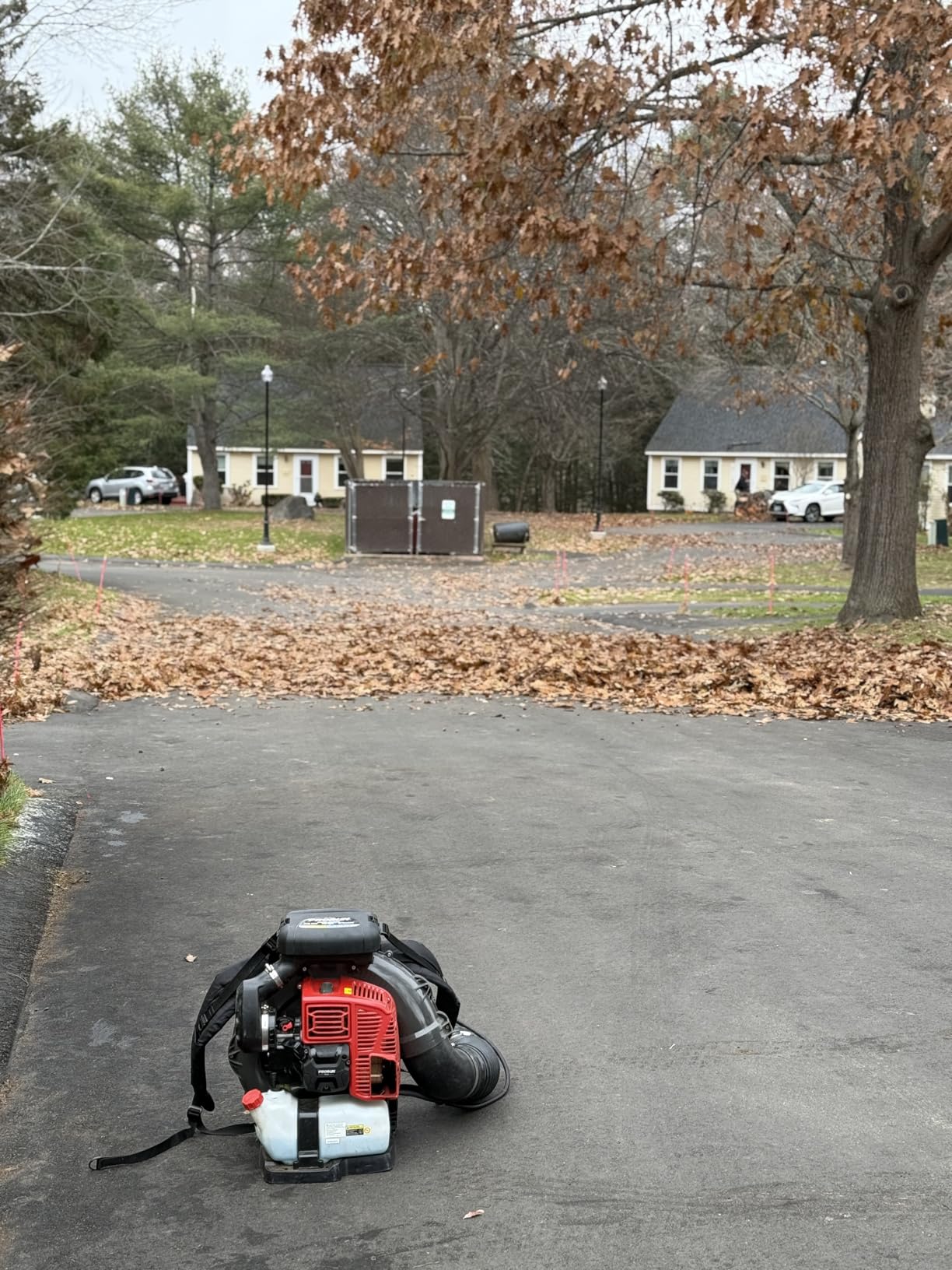 PRORUN PBB3000 Gas Backpack Leaf Blower, 79.9cc Commercial-Grade, 250 MPH, 1125 CFM, 50N, 2-Cycle Engine customer photo 1