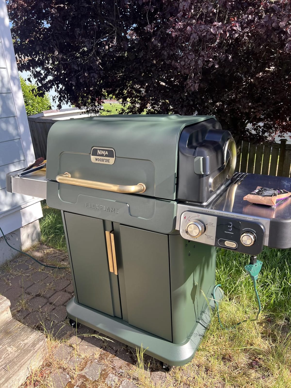 Ninja FlexFlame Grill & Smoker, Electric & Propane, 5-in-1, Blue, PG301BL customer photo 1