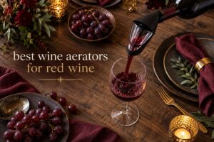 best wine aerators for red wine