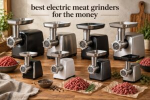 best electric meat grinders for the money