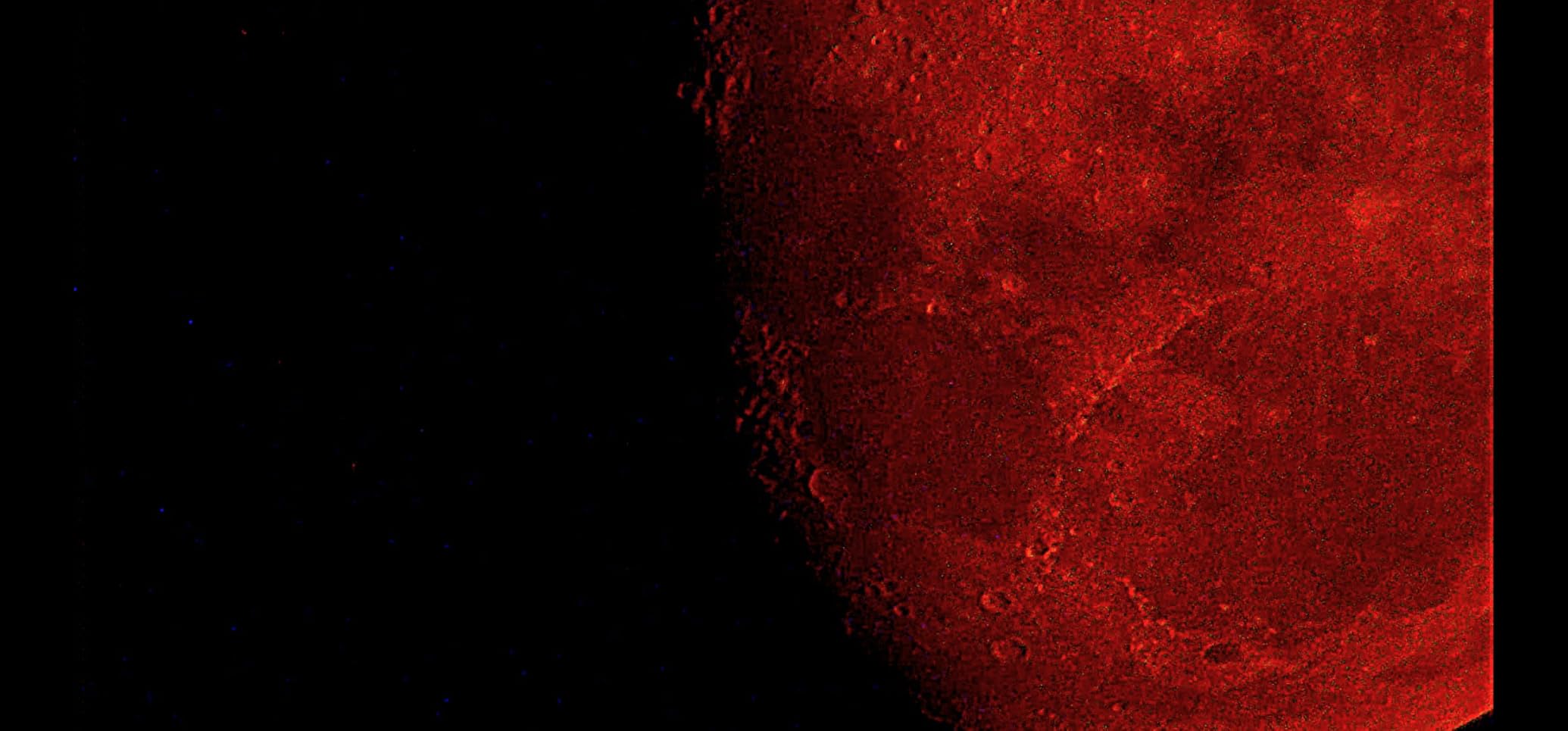 Celestron 114LCM Computerized Reflector Telescope for Beginners customer photo 1