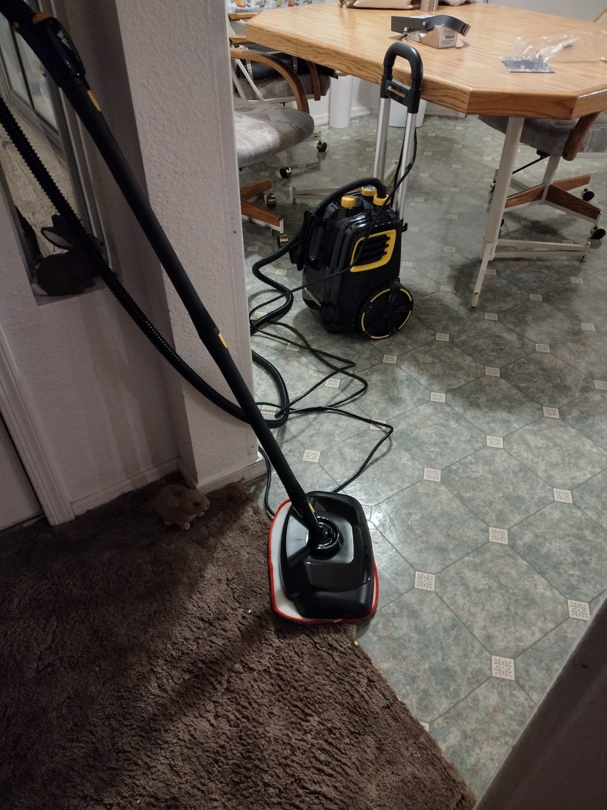 McCulloch MC1385 Canister Steam Cleaner, For Grout and Tile, 23 Accessories customer photo 1