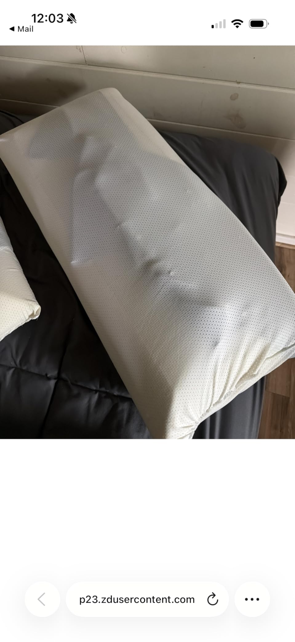 Tempur-Pedic TEMPUR-Cloud Dual Cooling Pillow, Queen, White customer photo 1