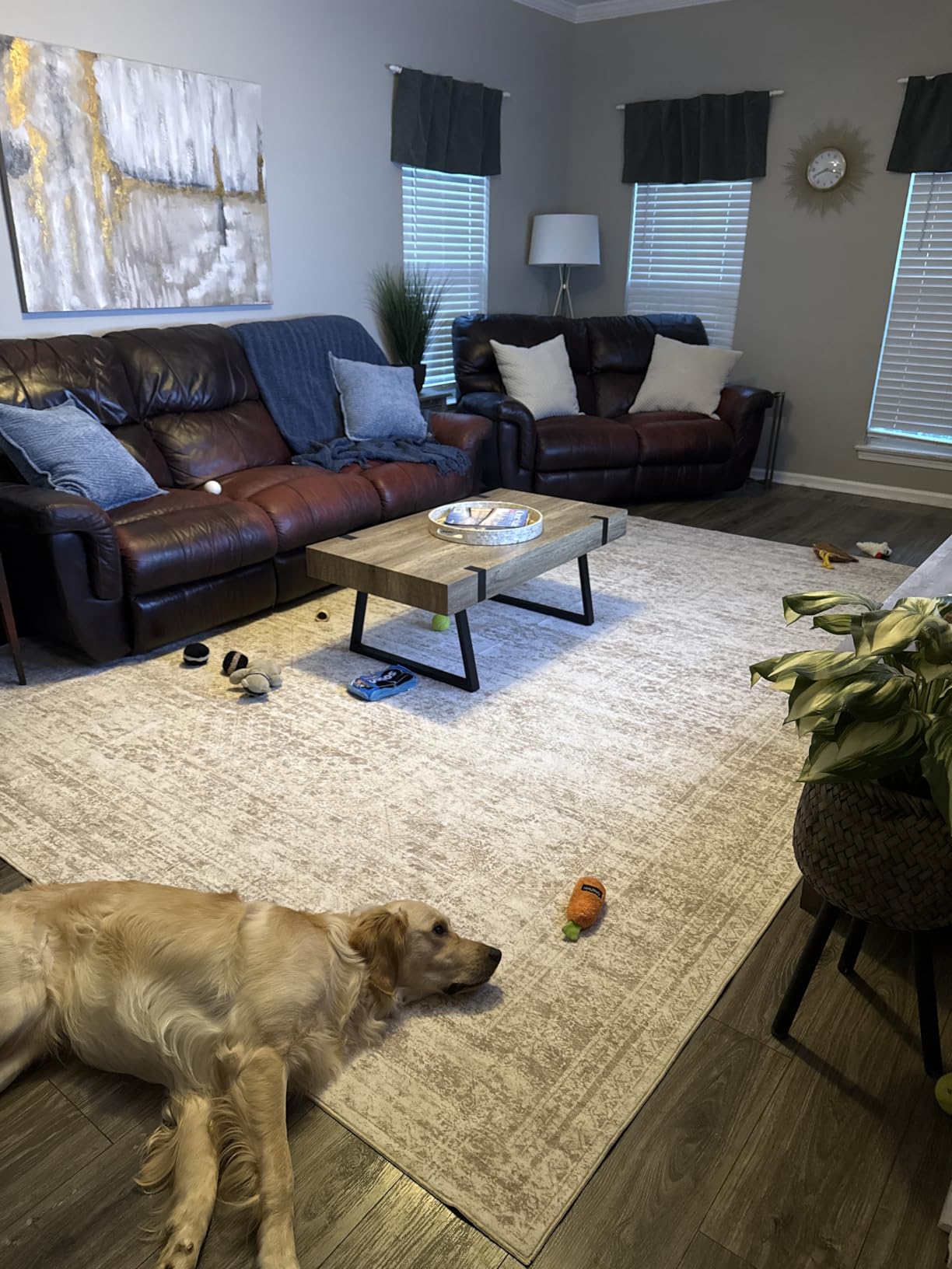 Soalmost Washable Area Rug 8x10 Large Soft Beige Rugs for Living Room customer photo 1