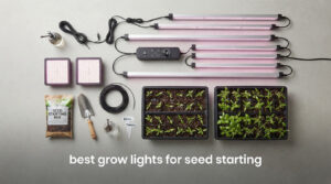 best grow lights for seed starting