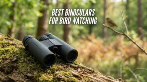 best binoculars for bird watching